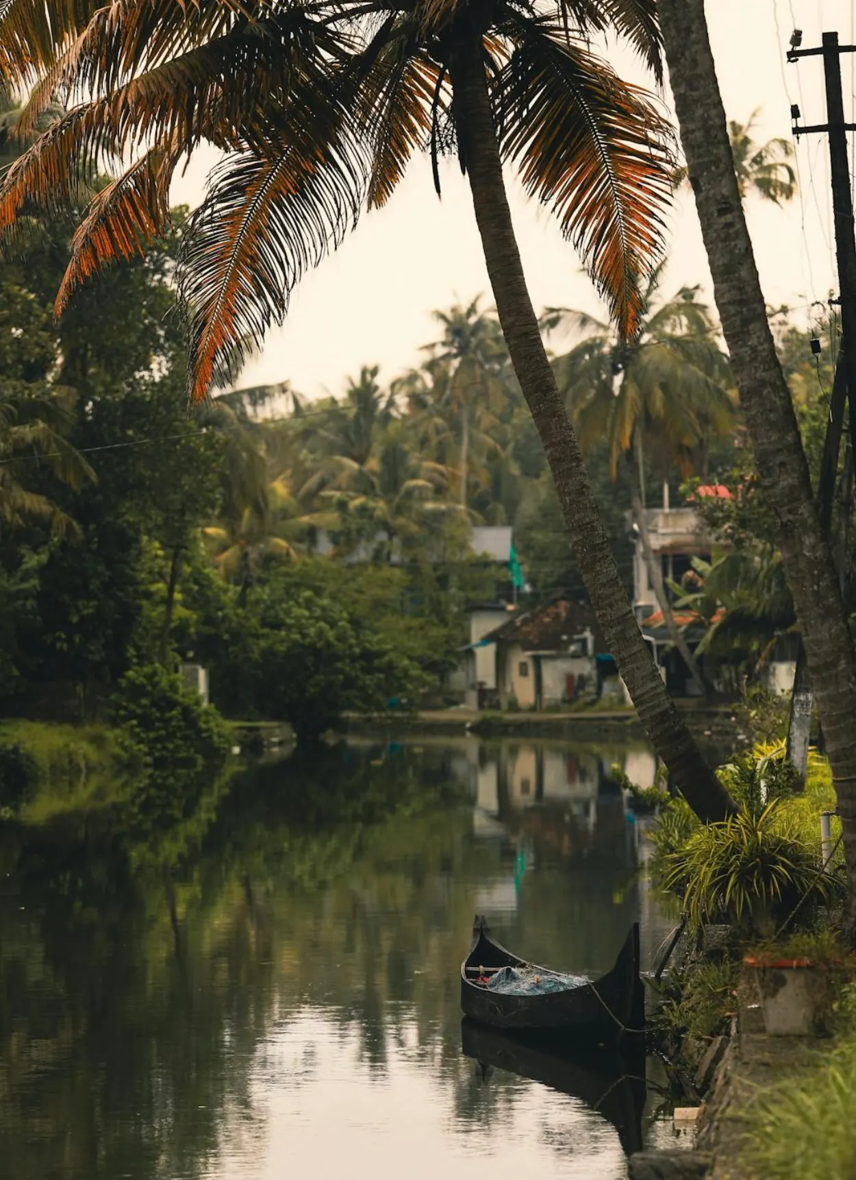 The perfect 5-day Kerala itinerary — Kerala travel guide