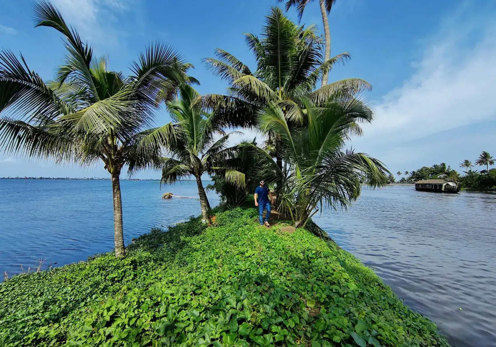 Palm islet on the Alleppey backwaters, Kerala