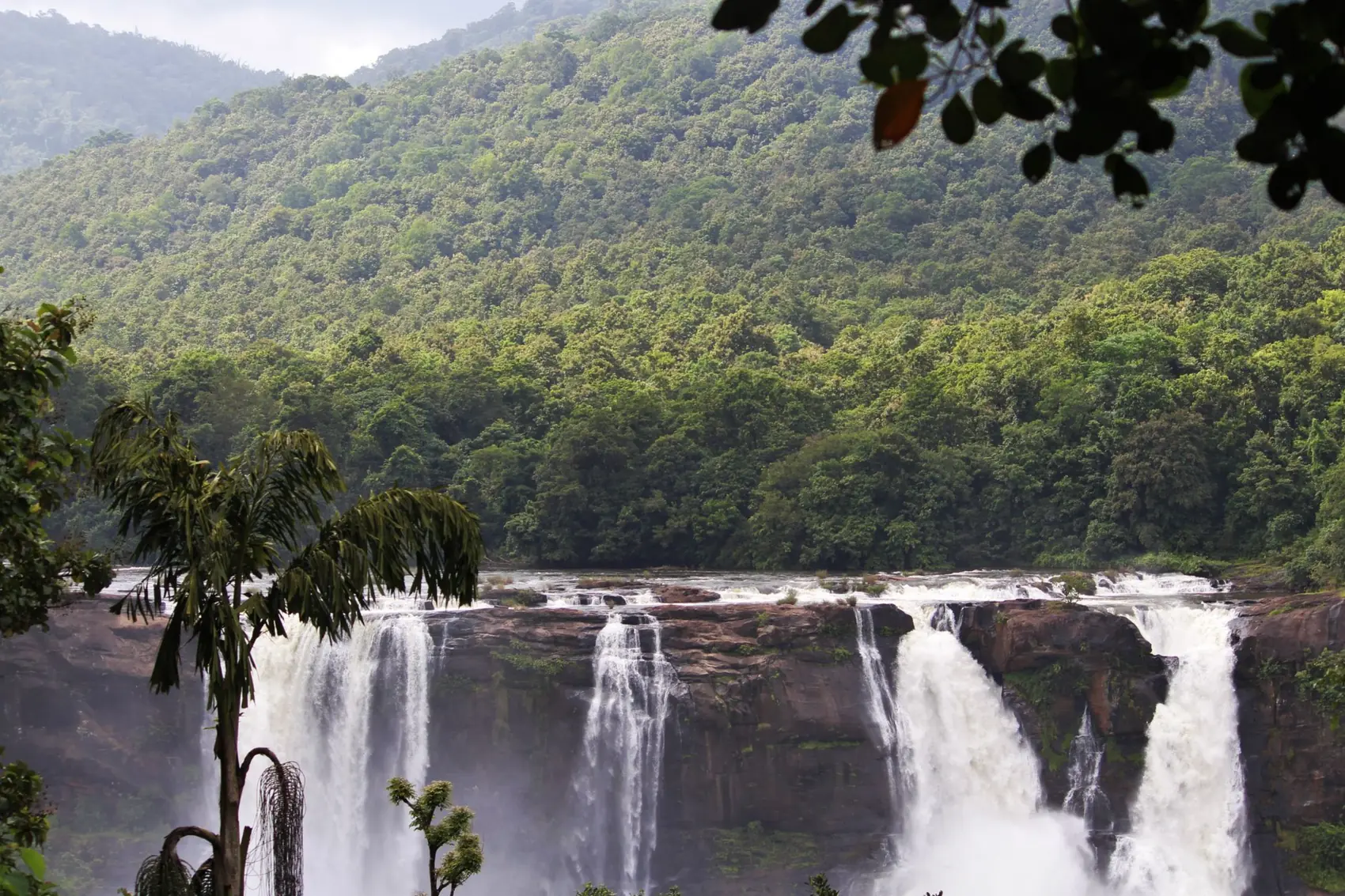 Athirapally Falls with palms and forest, Kerala