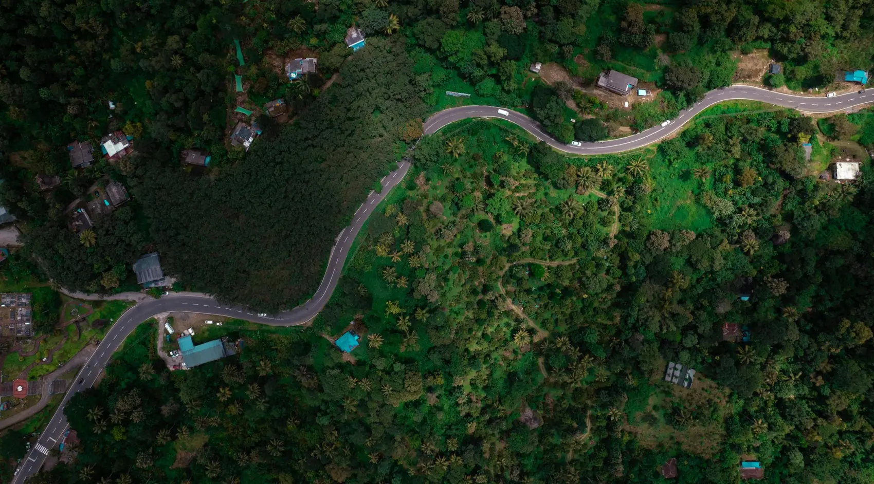Wayanad travel guide — Kerala travel guide